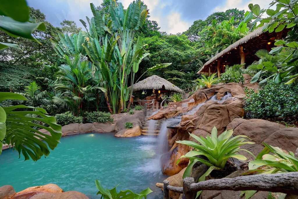 The Springs Resort